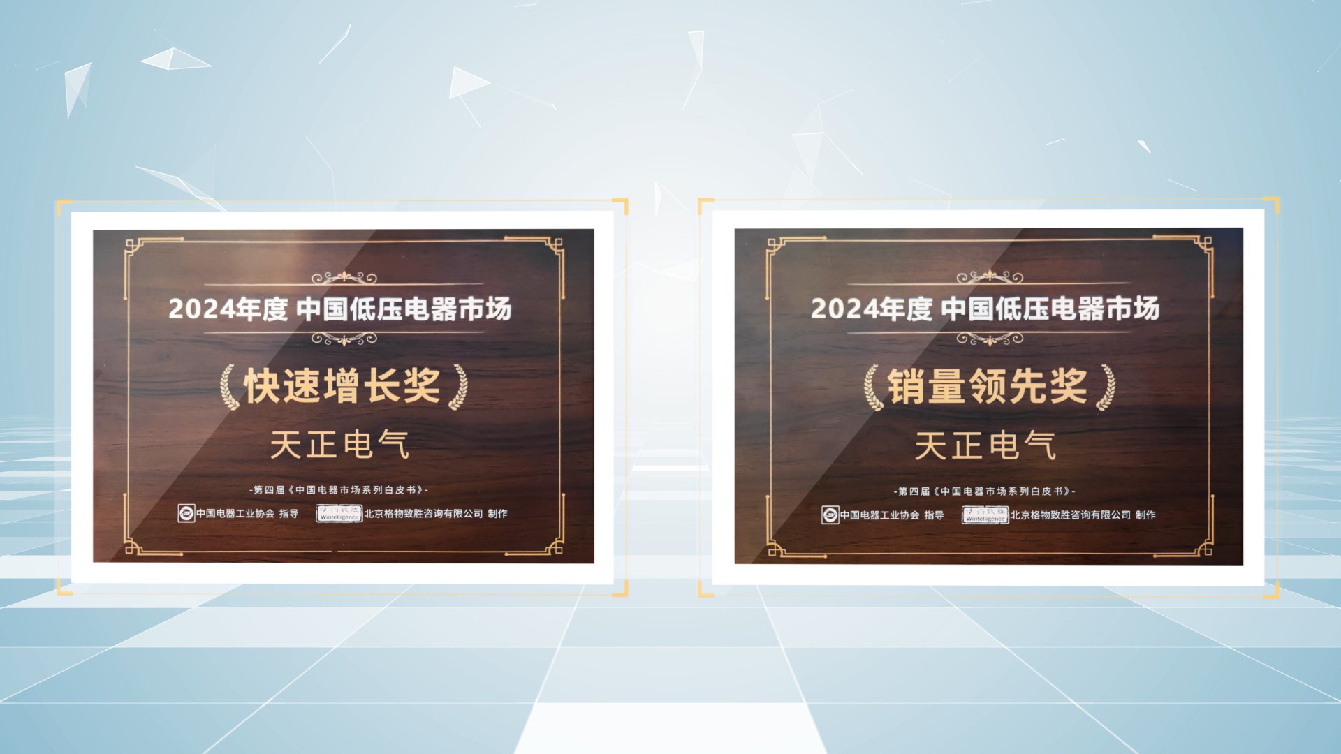 销量领先、快速增长丨Z6尊龙凯时荣膺2项行业年度大奖